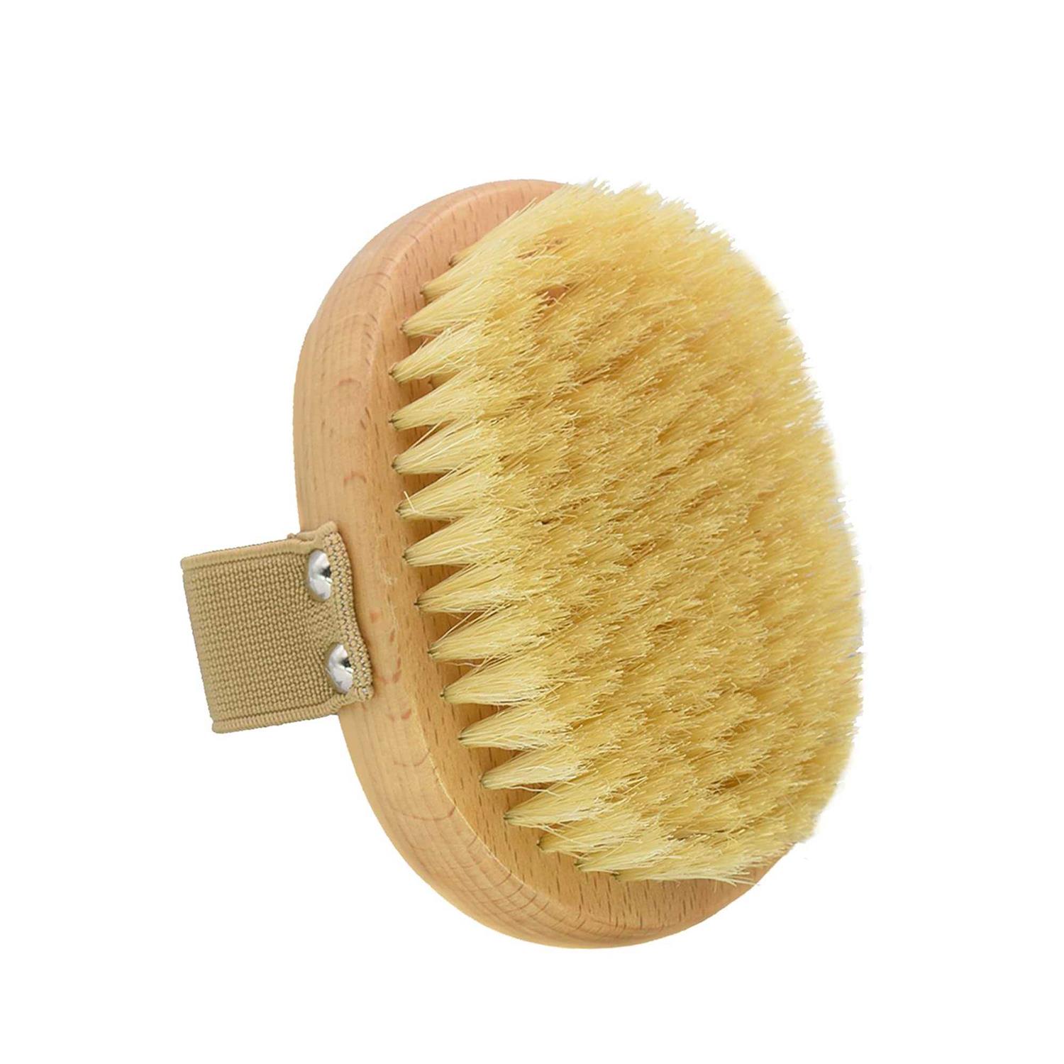 casidoxi soft bristle dog brush for short haired cats dogs with elastic band