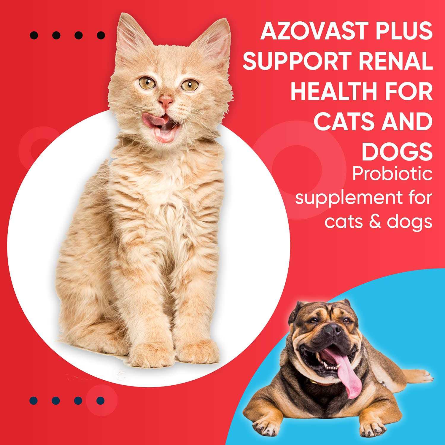 Pet Health Pharma Azovast Plus Kidney Health Supplement for Dogs & Cats Oral Paste