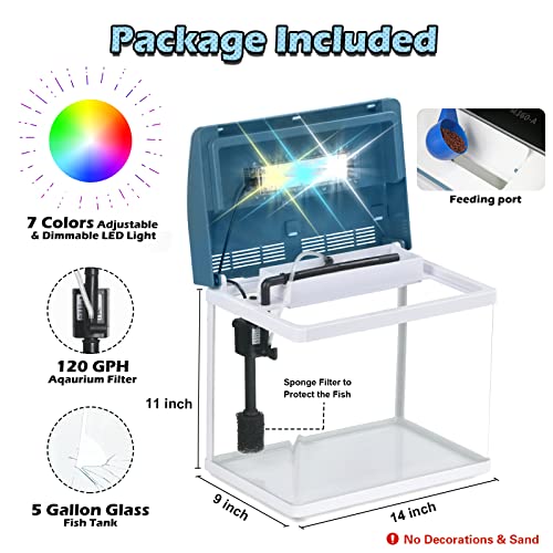 Small Fish Tank Aquarium Starter Kit