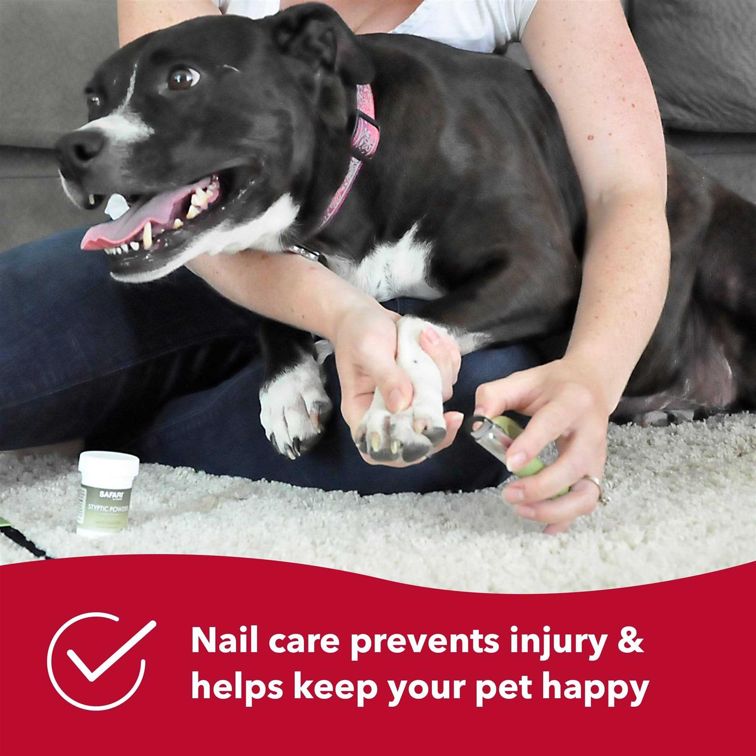 Safari Dog Guillotine Nail Trimmer