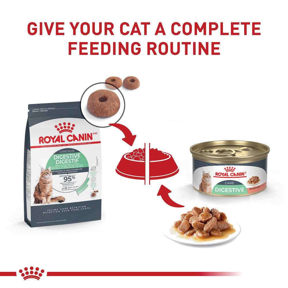 Royal Canin Feline Nutrition Digestive Sensitive Thin Slices in Gravy Canned Cat Food 3-oz