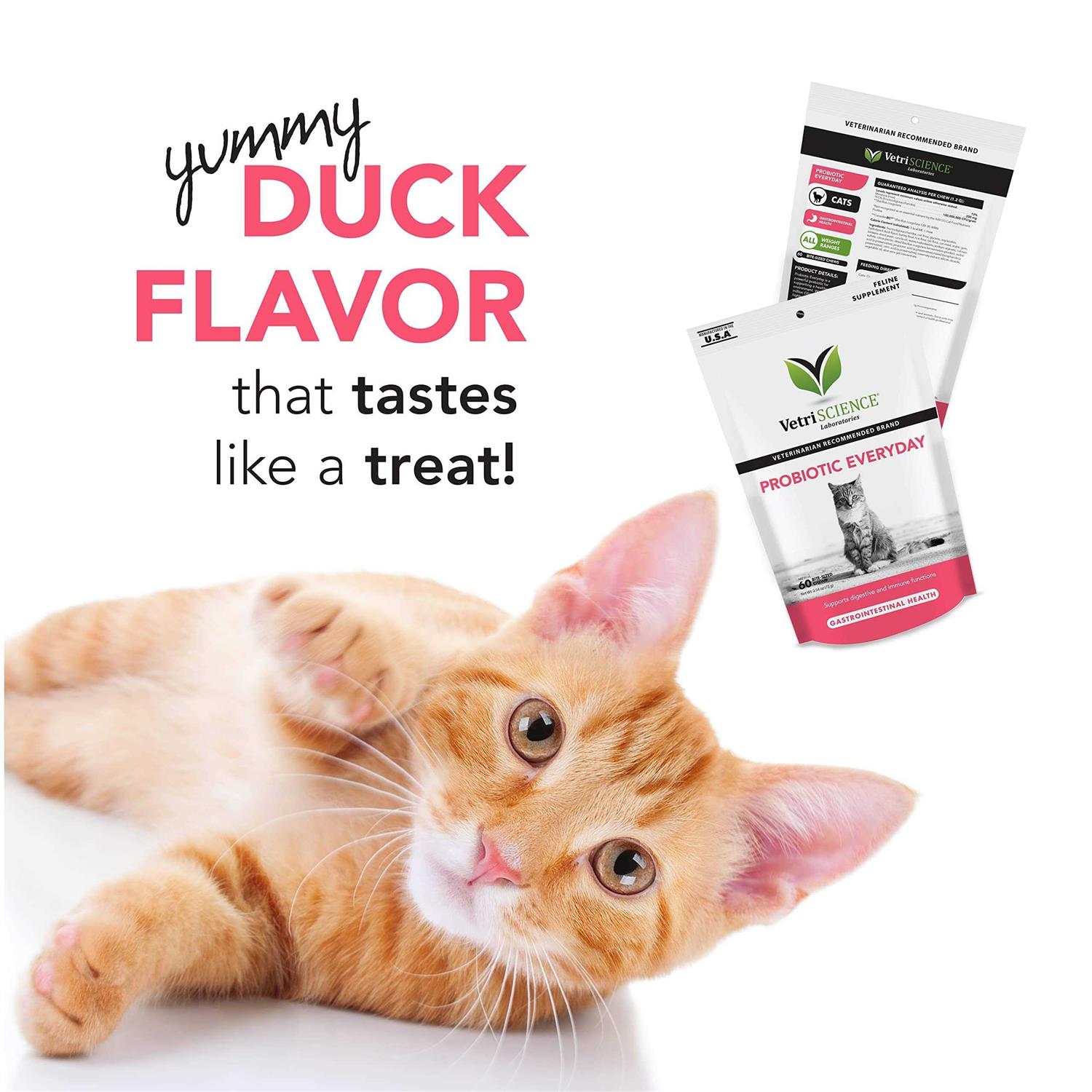 VetriScience Probiotic Everyday for Cats