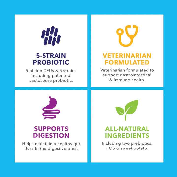 Profivex Probiotic Powder for Dogs & Cats