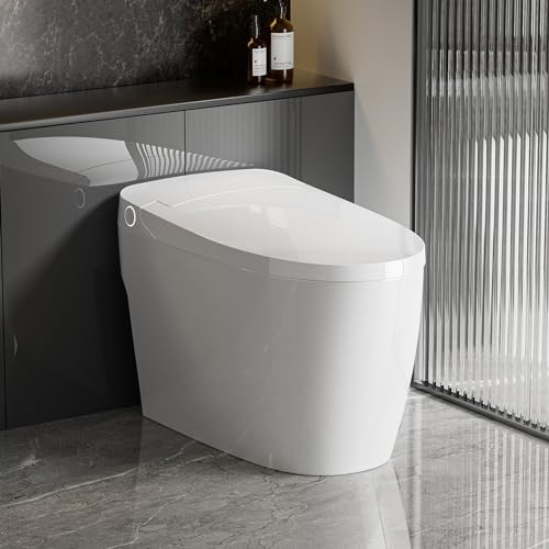 Superflo smart toilet