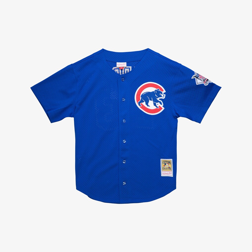 Men's Chicago Cubs Ryne Sandberg Mitchell & Ness Royal Cooperstown Collection 1997 Mesh Batting Practice Button-Up Jersey
