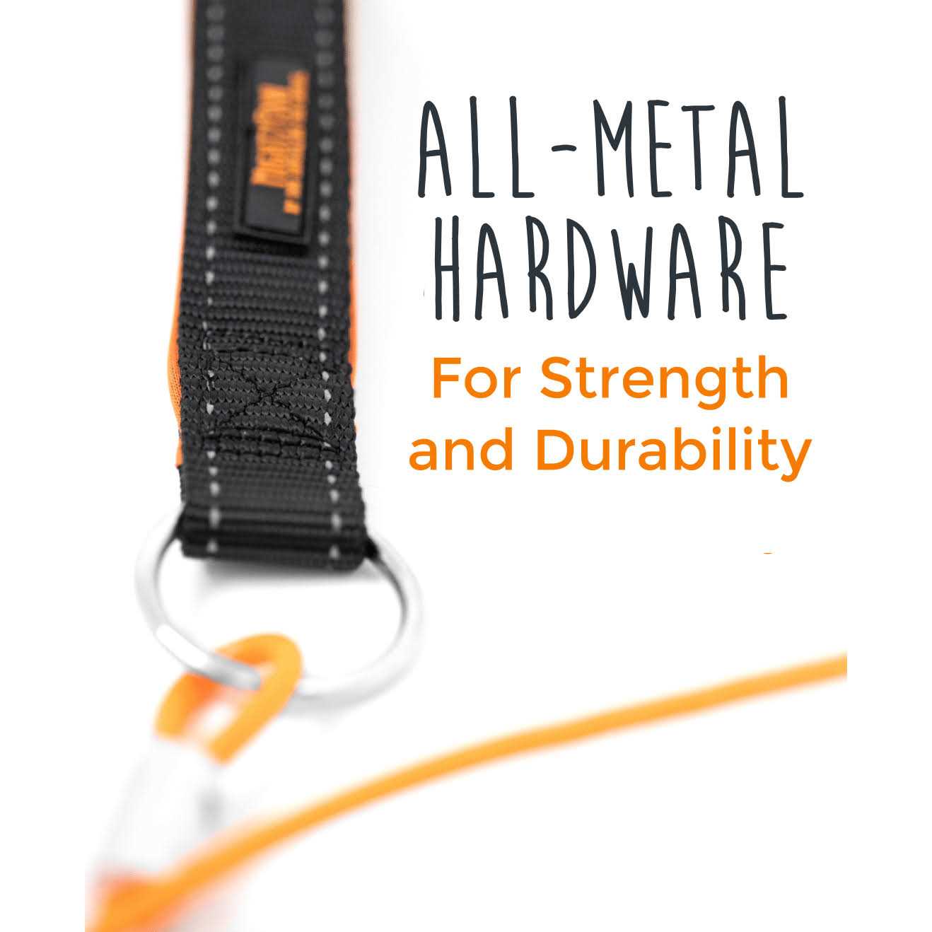 Mighty Paw Chew Proof Dog Leash Metal Cable Chew