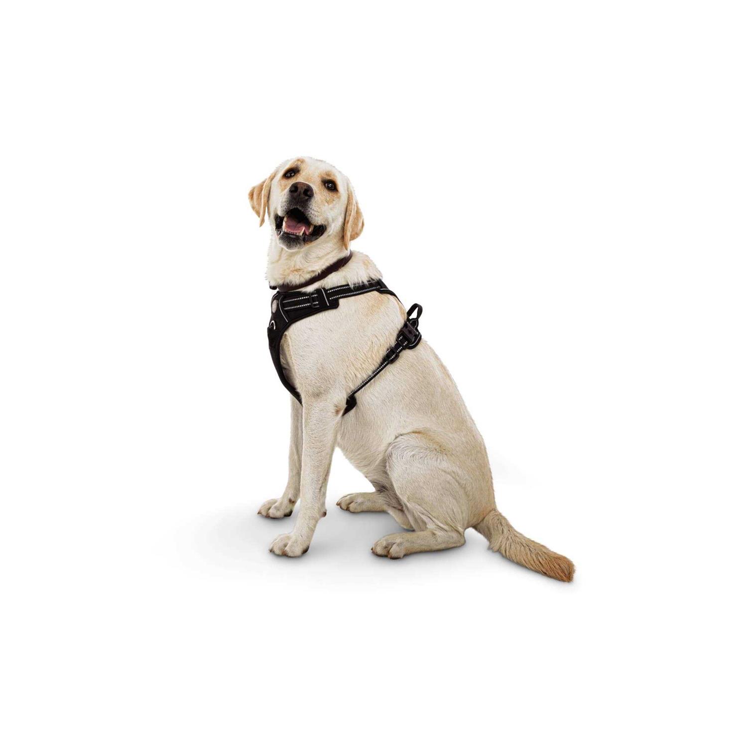EveryYay Embrace the Pace Black Front Walking Dog Harness