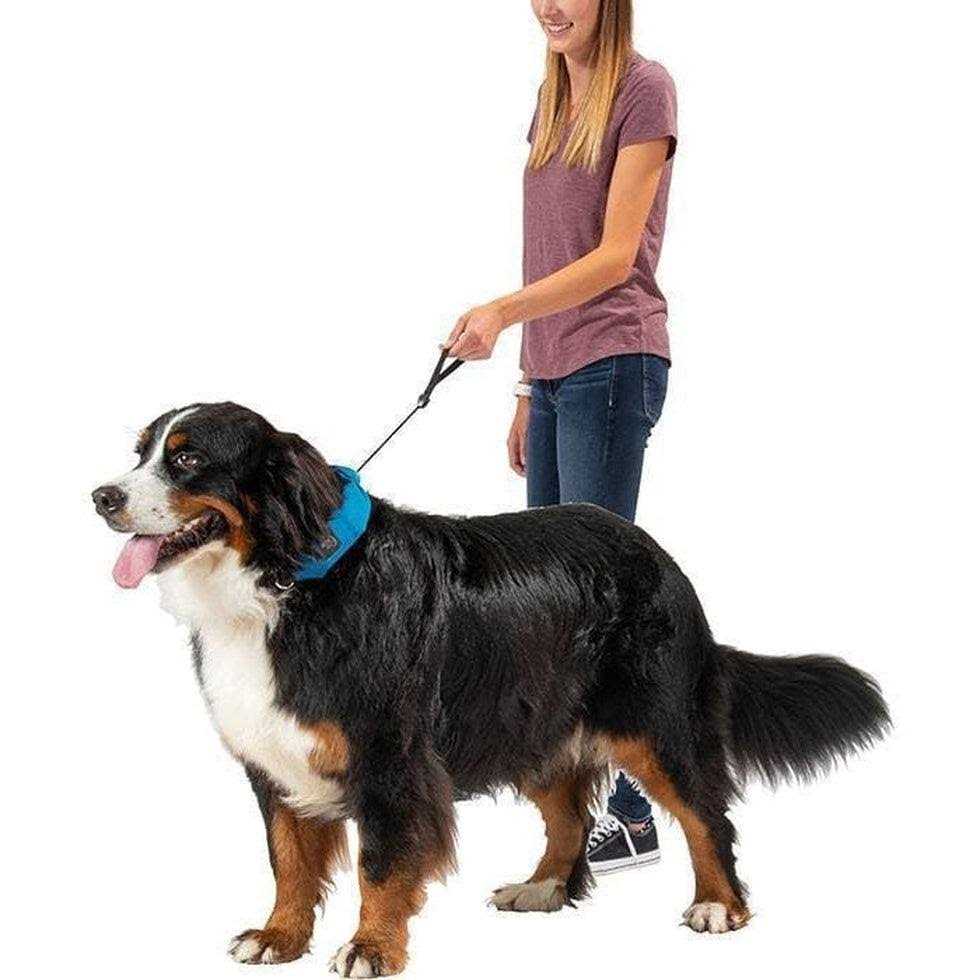 Nite Ize RadDog All-In-One Collar + Leash