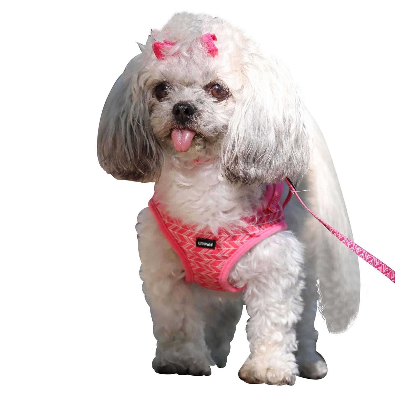 Lil’ Pals Canvas Dog Harness