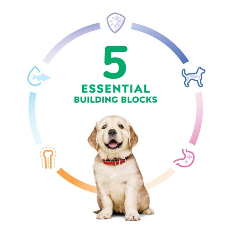 Hill's Science Diet Large Breed Puppy Chicken Recipe Dry Dog Food - Pet Supplies online store