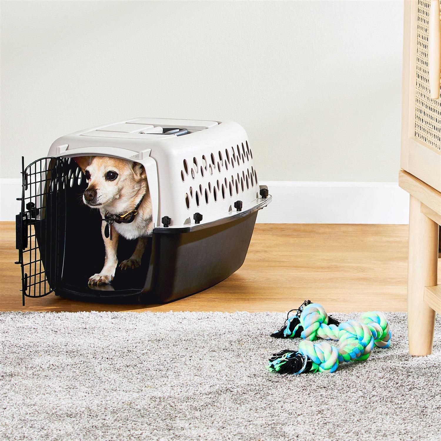 Vibrant Life Pet Kennel for Dogs - Pet Supplies online store