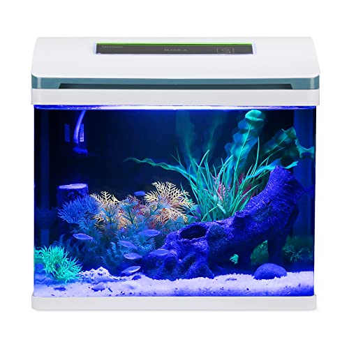 Small Fish Tank Aquarium Starter Kit