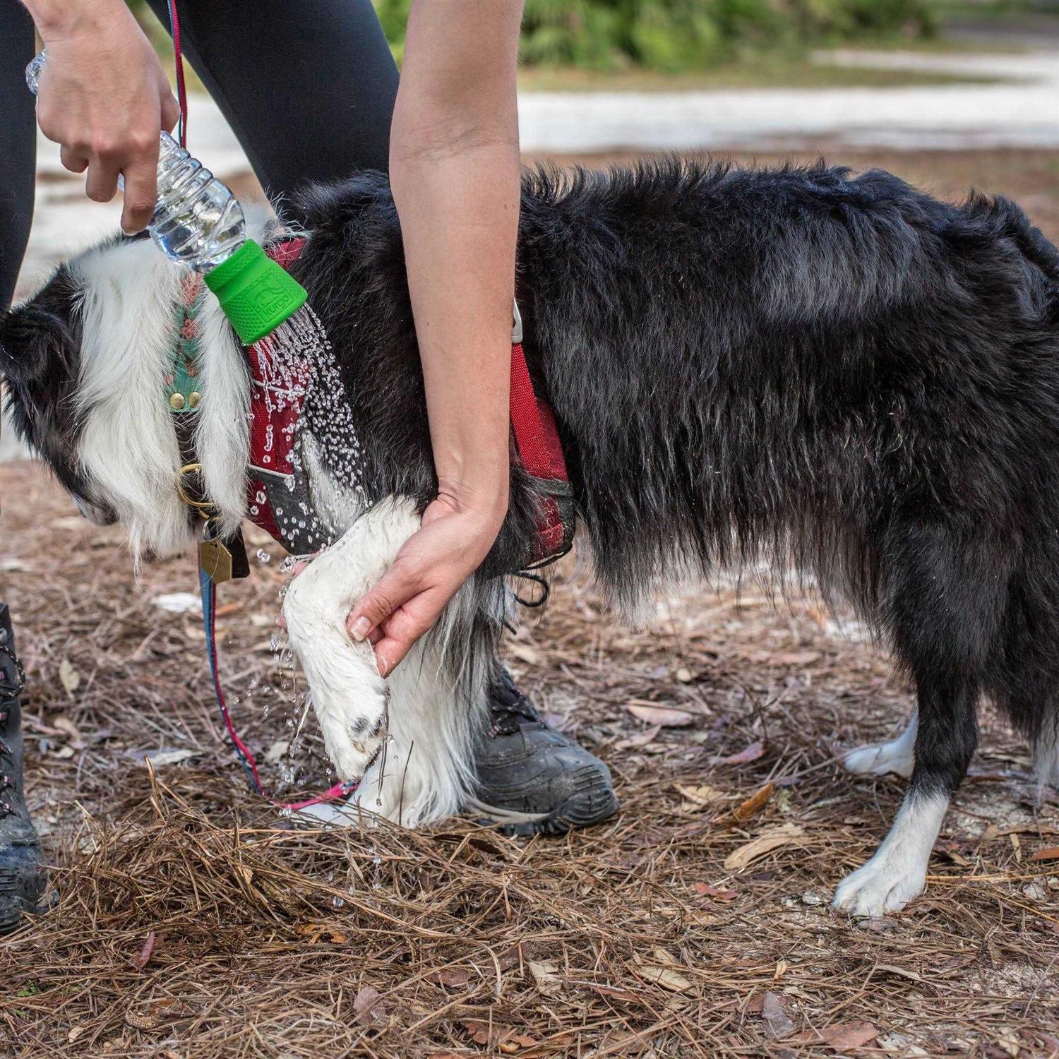 Kurgo Mud Dog Travel Shower