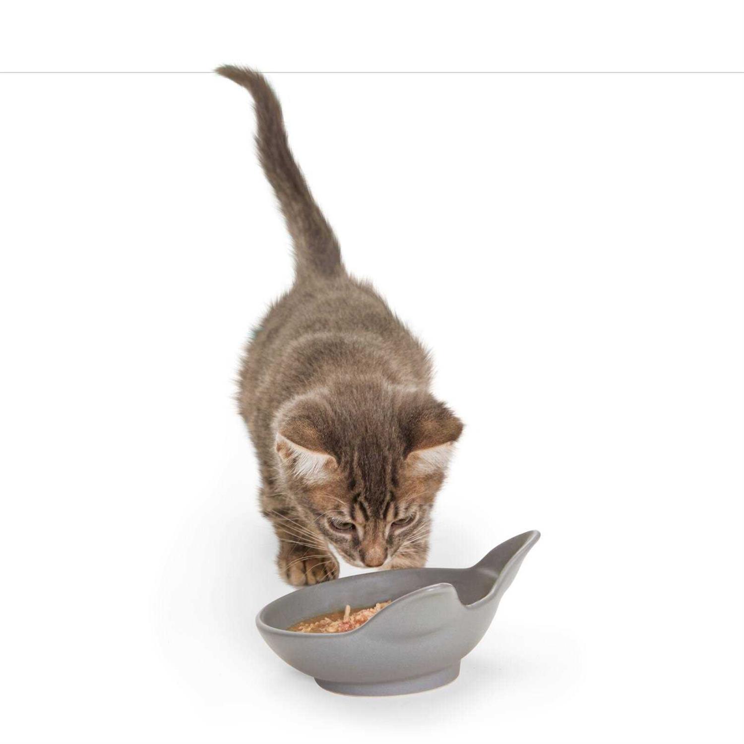 EveryYay Dining In Cat Head Ceramic Cat Bowl