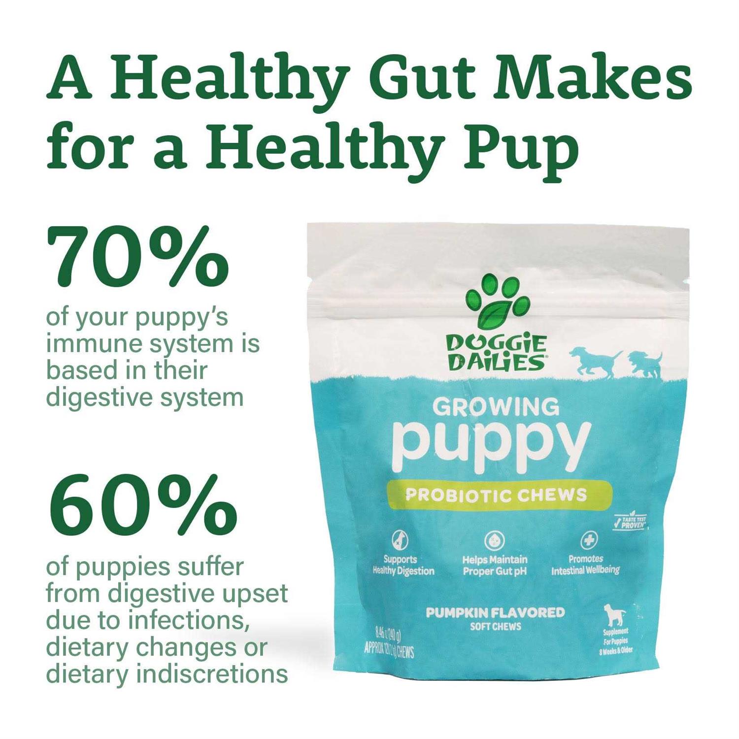 Doggie Dailies Puppy Probiotic Probiotics for Puppies with Digestive Enzymes