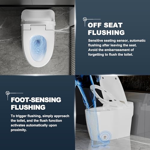 Superflo smart toilet