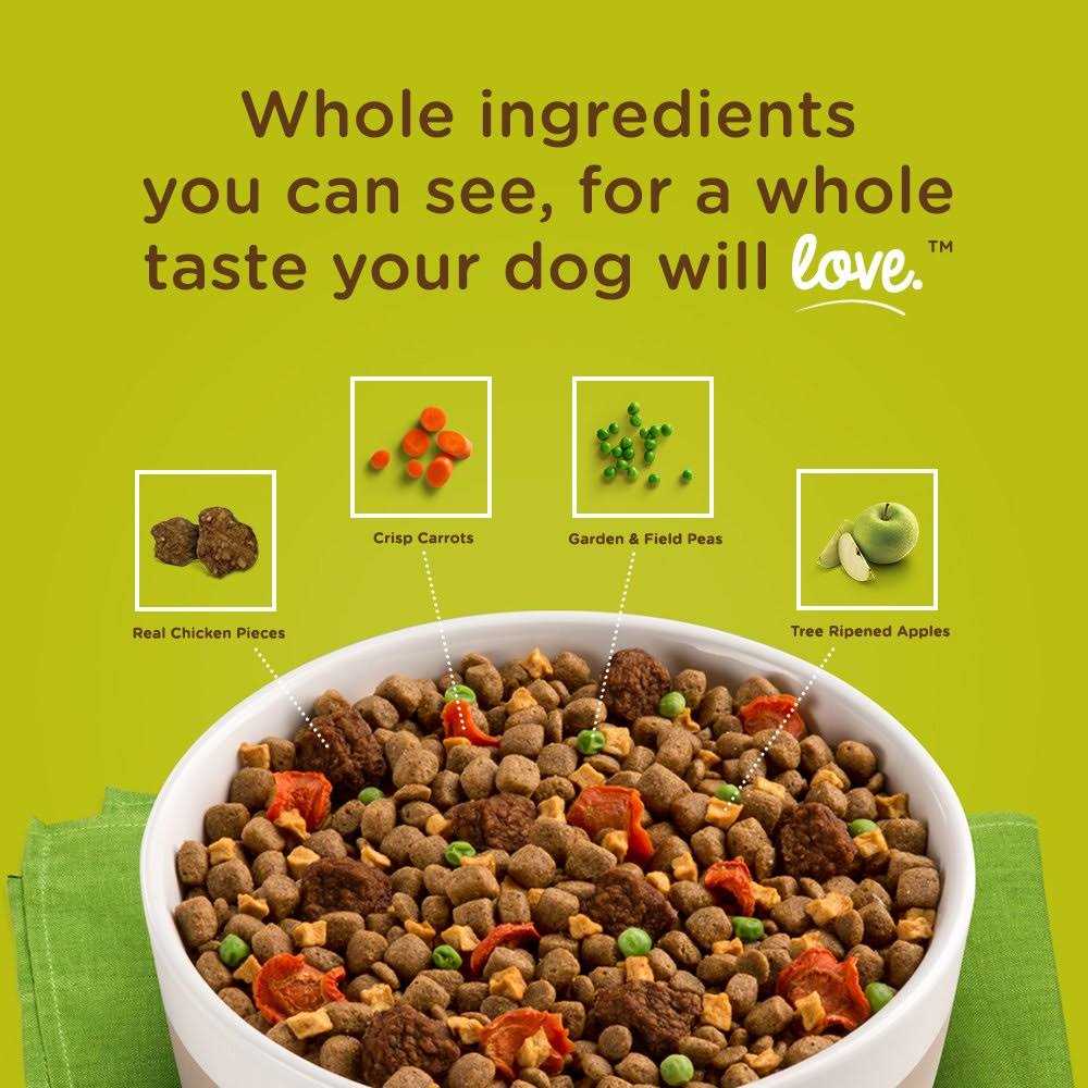 Rachael Ray Nutrish Dish Brown Rice Dog Food