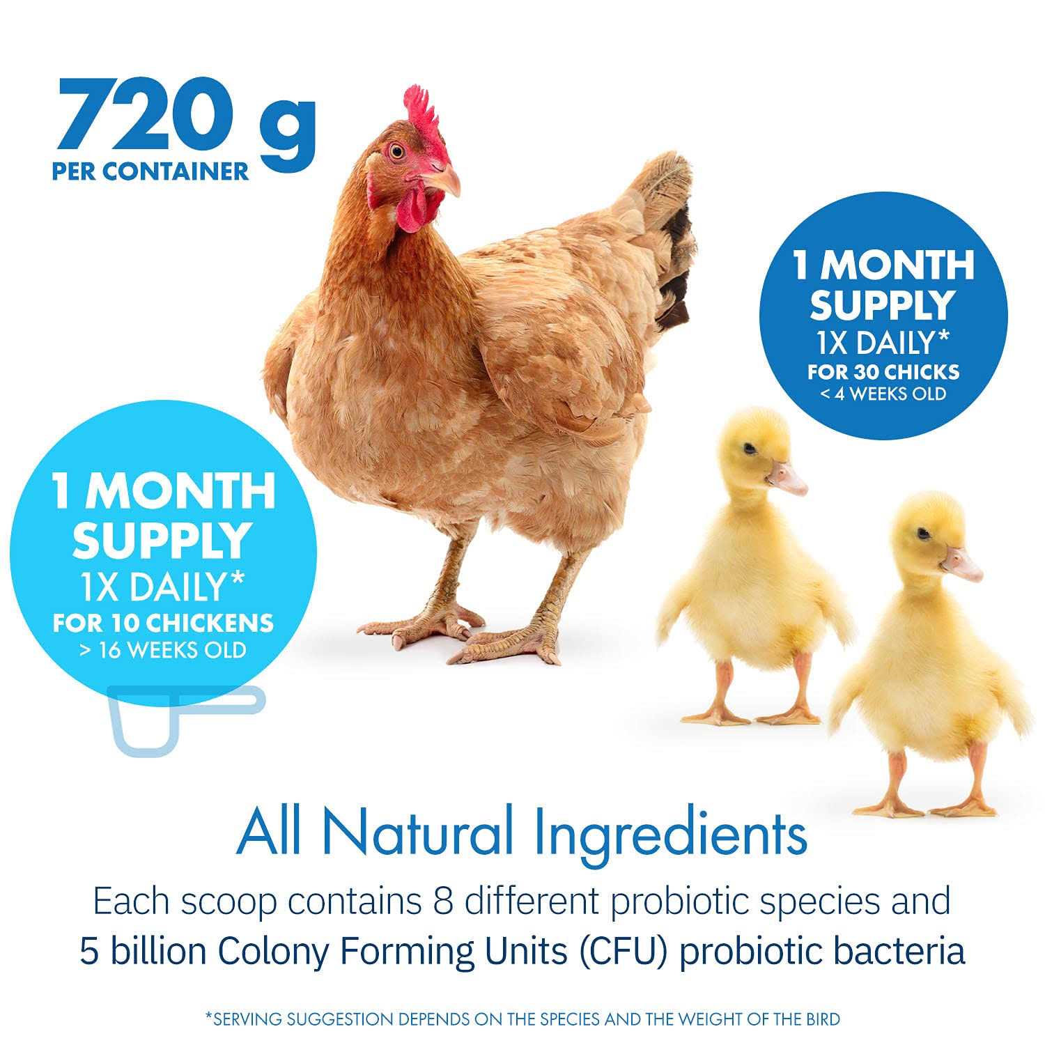 Equa Holistics HealthyGut Probiotics for Chickens & Poultry
