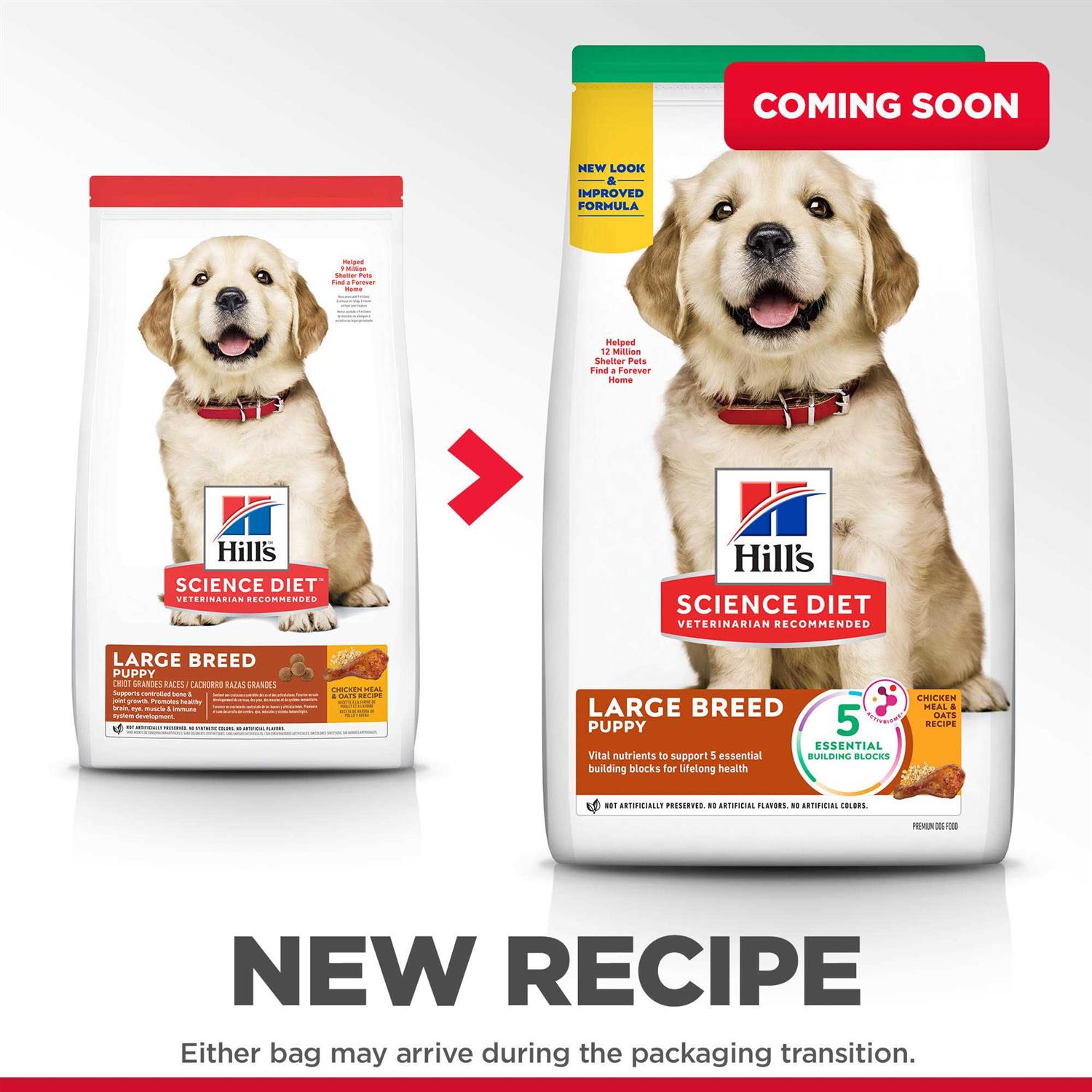 Hill's Science Diet Large Breed Puppy Chicken Recipe Dry Dog Food - Pet Supplies online store