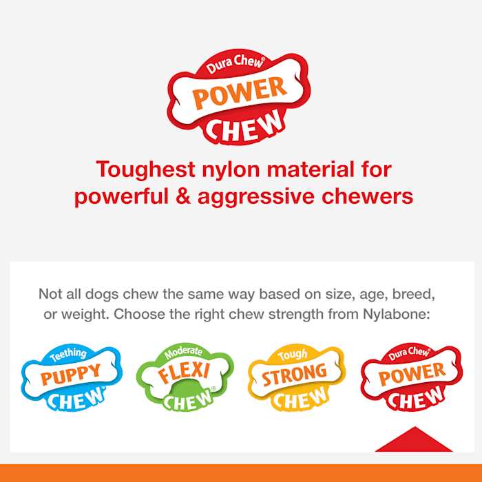 Nylabone Power Basted Blast Dual Flavored Dog Chew Toys
