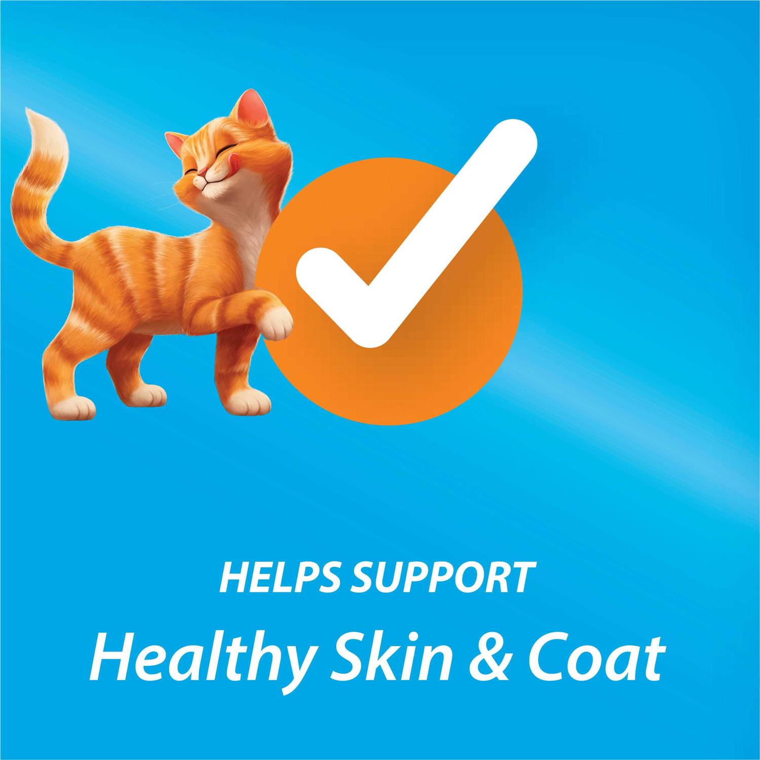 Purina Kit & Kaboodle Dry Cat Food