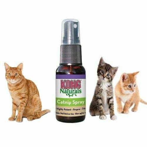 Kong Catnip Spray