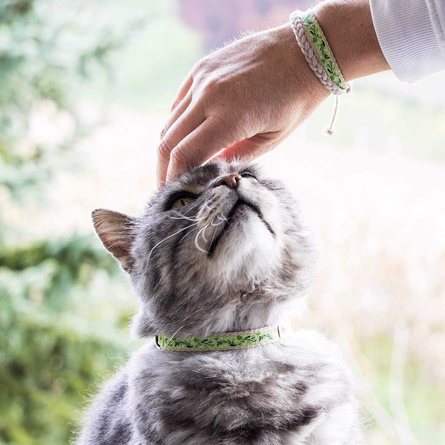 Pettsie Cat Collar Breakaway Friendship Bracelet