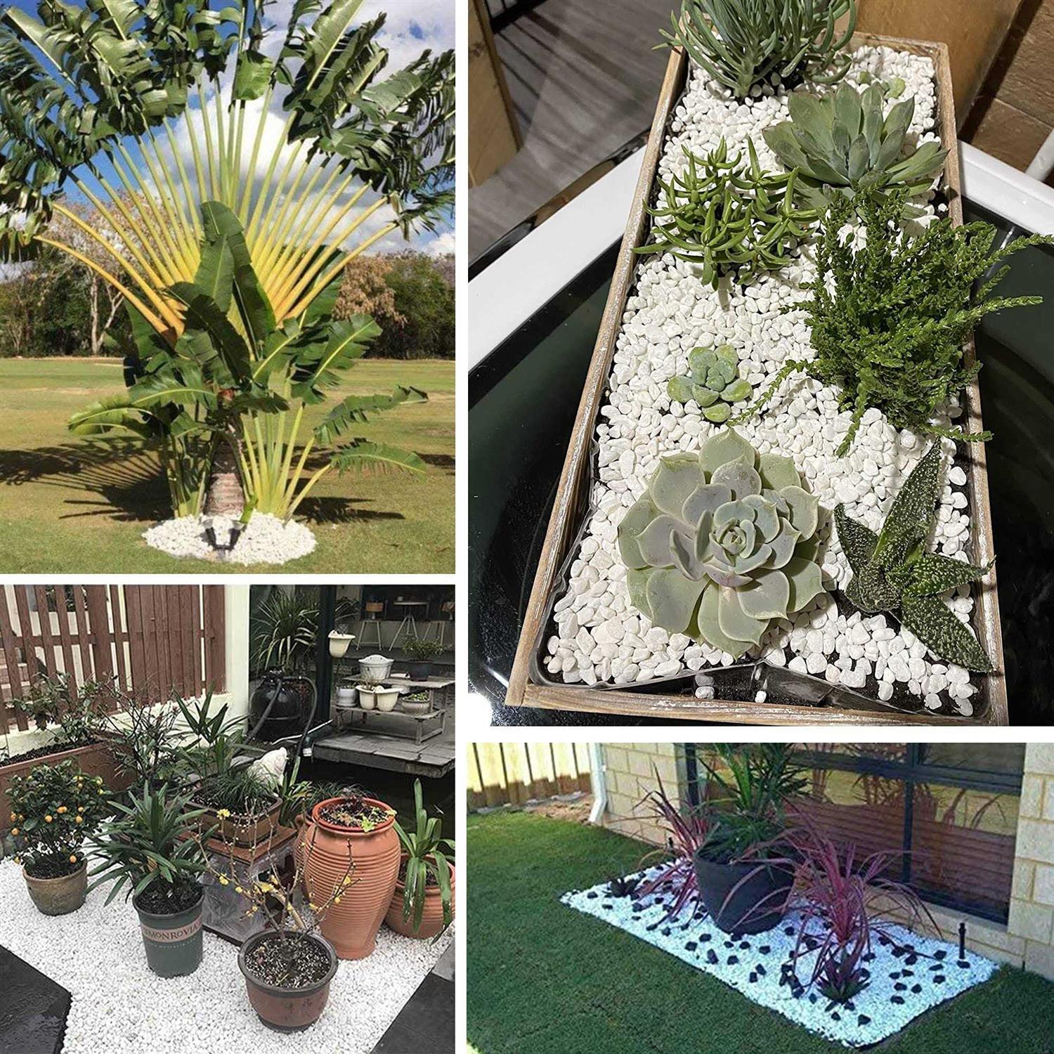 Anothera 18-lb Bulk Bag White Pebbles 1/2 Size Aquarium Gravel Outdoor Garden Paving Plant Decorative Stones