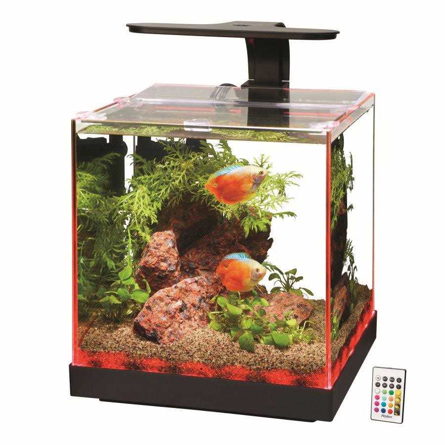 Aqueon Edgelit Cube Aquarium