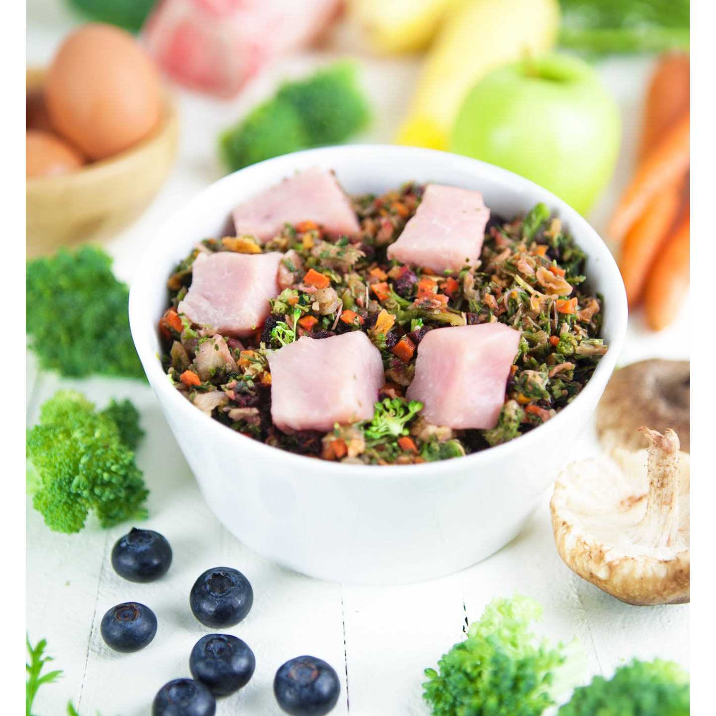 Dr. Harvey’s Raw Vibrance Dog Food