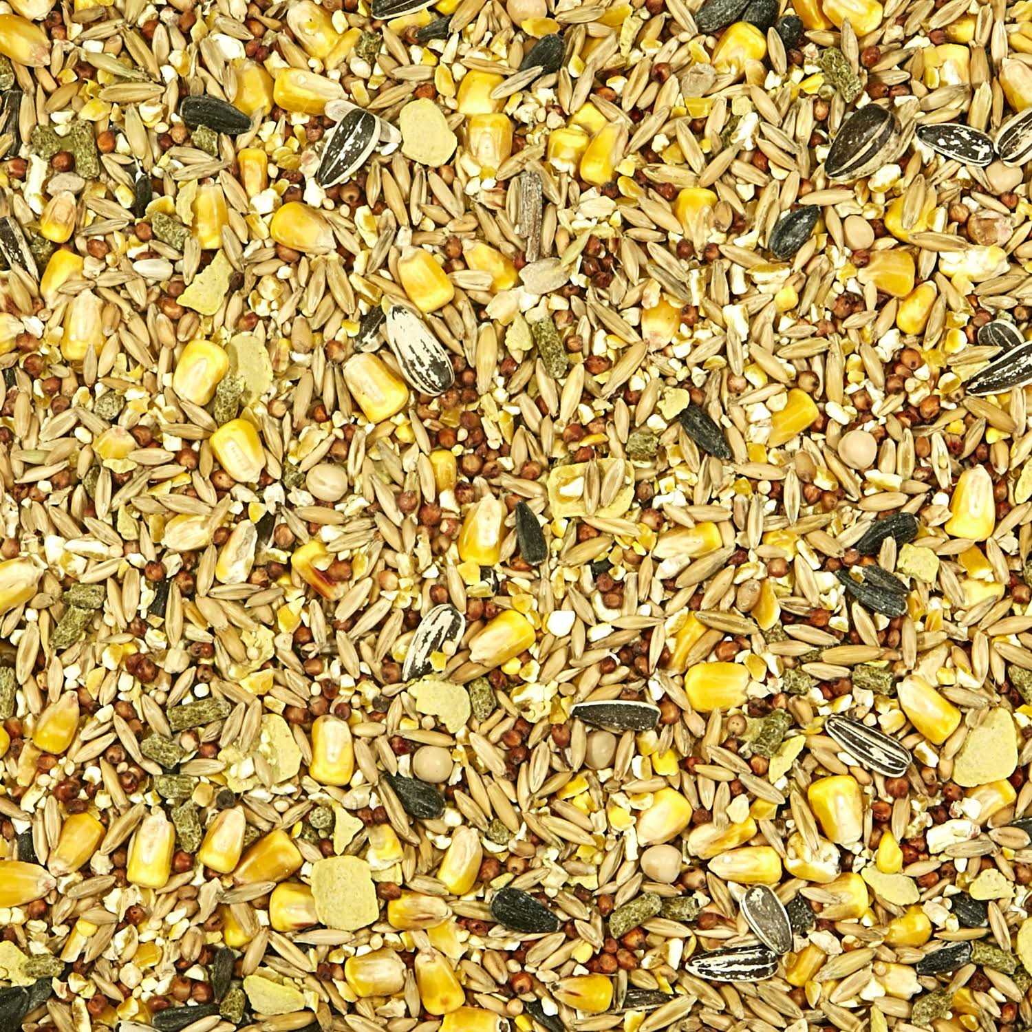 Kaytee Backyard Wildlife