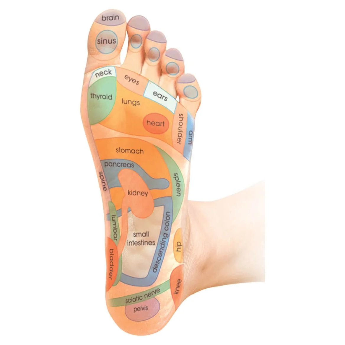 Massaging Comfort Slides, Waterproof Slip On Sandals, Black/Gray, Mens Size 10 - Curated Treasures Market