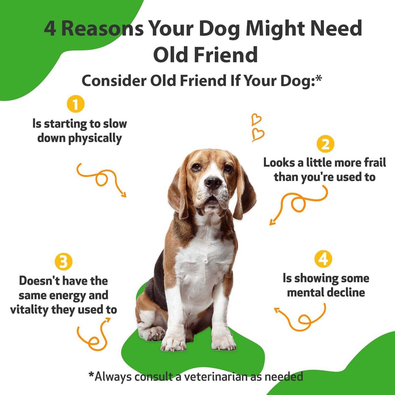 Pet Wellbeing Old Friend for Senior Dogs