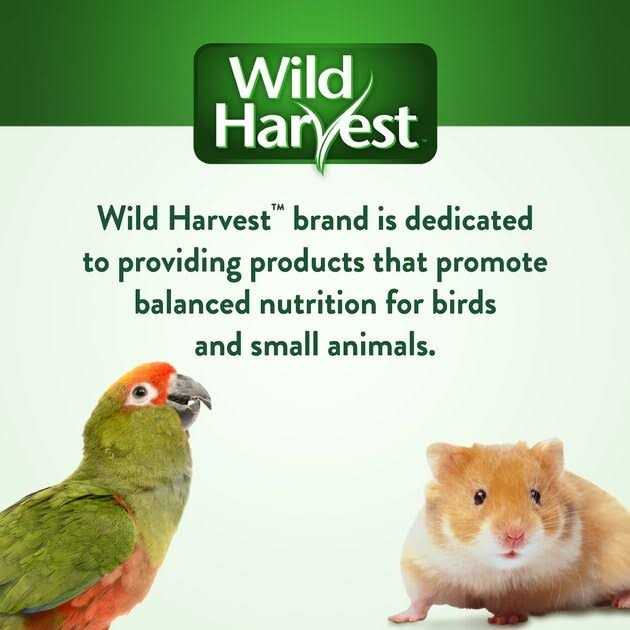 Wild Harvest Universal Blend Birds