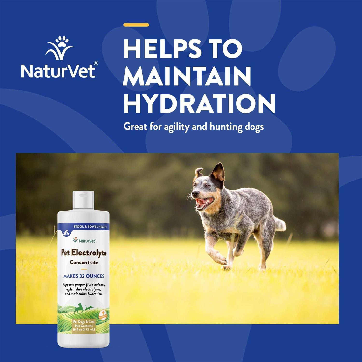 NaturVet Pet Electrolyte Concentrate 16 oz for Dogs & Cats