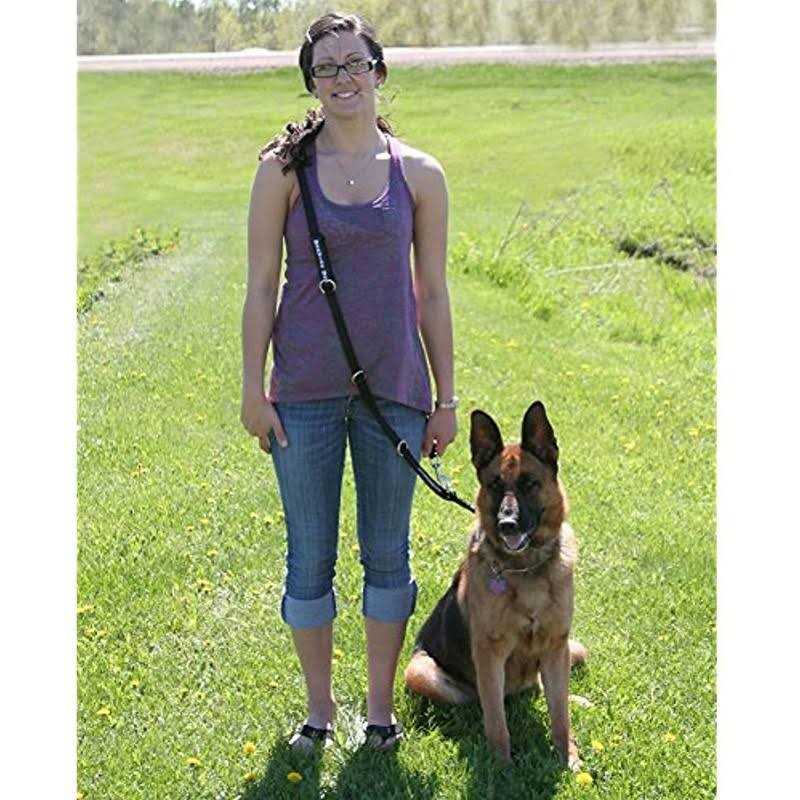 ActiveDogs.com ActiveDogs Hands-Free Adjustable Service Dog Leash 7.5′ x.75 Premium Quality Crossbody K9 Training Lead