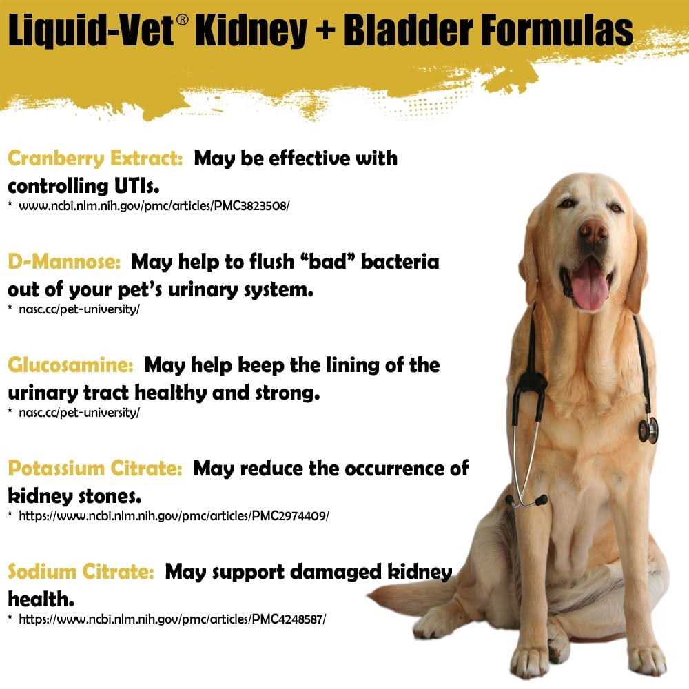 Liquid Vet Feline Kidney & Bladder Support