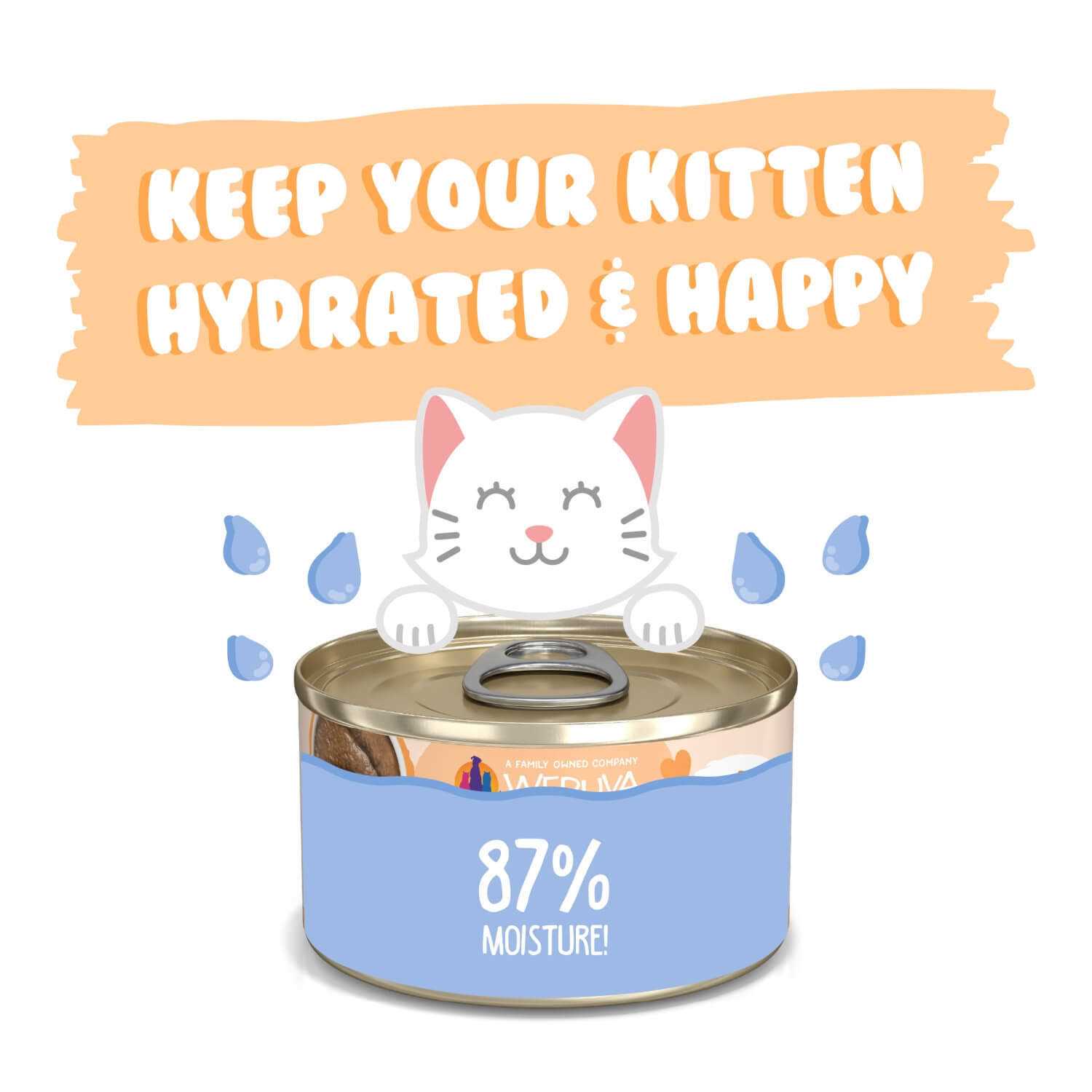 Weruva Kitten Tuna & Salmon Formula in a Hydrating Puree Cat Food