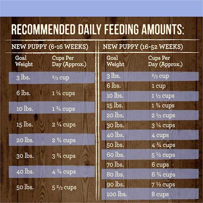 Merrick Grain Free Real Beef & Sweet Potato Puppy Recipe Dry Dog Food