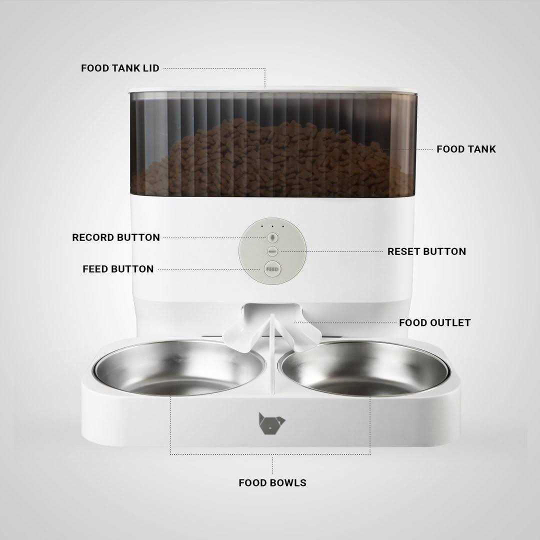 Instachew Cats & Dogs Purechew Double Automatic Pet Feeder - Pet Supplies online store