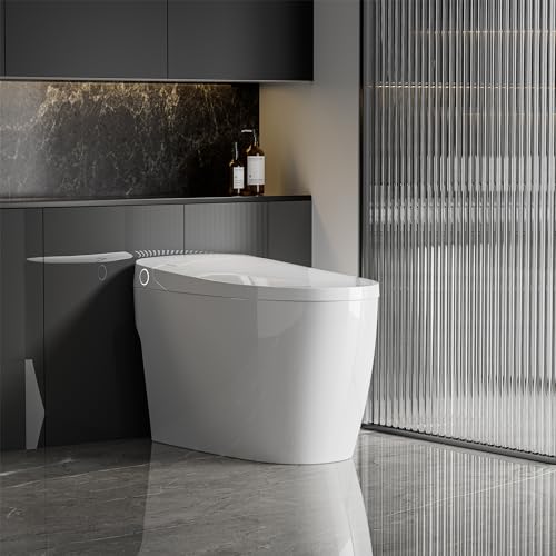 Superflo smart toilet