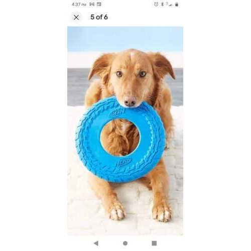 Nerf Dog Flyer Tire Dog Toy