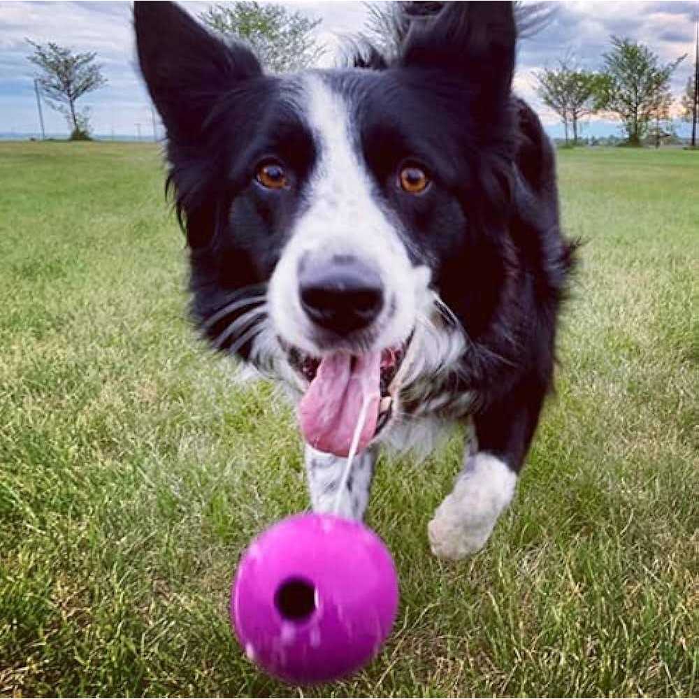 Chew King Fetch Balls Extremely Durable Natural Rubber Toy