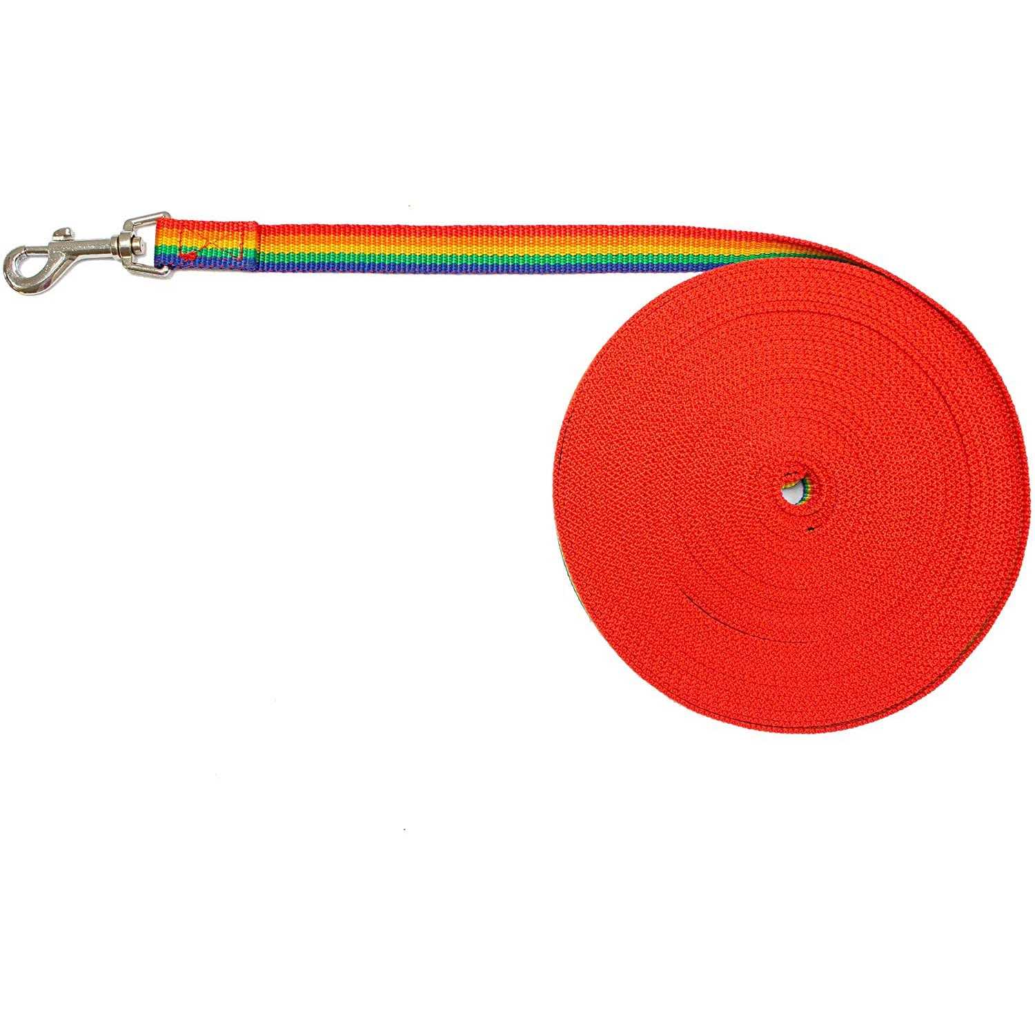 Downtown Pet Supply Long Lead Leash for Dog Training