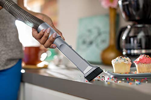 Dirt Devil Endura Lite Upright Bagless Vacuum Cleaner for Carpet and Hard Floor, Powerful, Lightweight, Corded Vacuum Cleaners for Home Use
