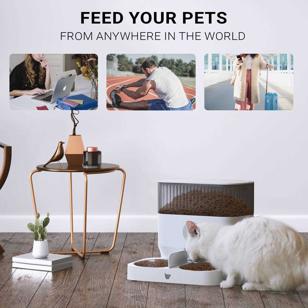 Instachew Cats & Dogs Purechew Double Automatic Pet Feeder - Pet Supplies online store