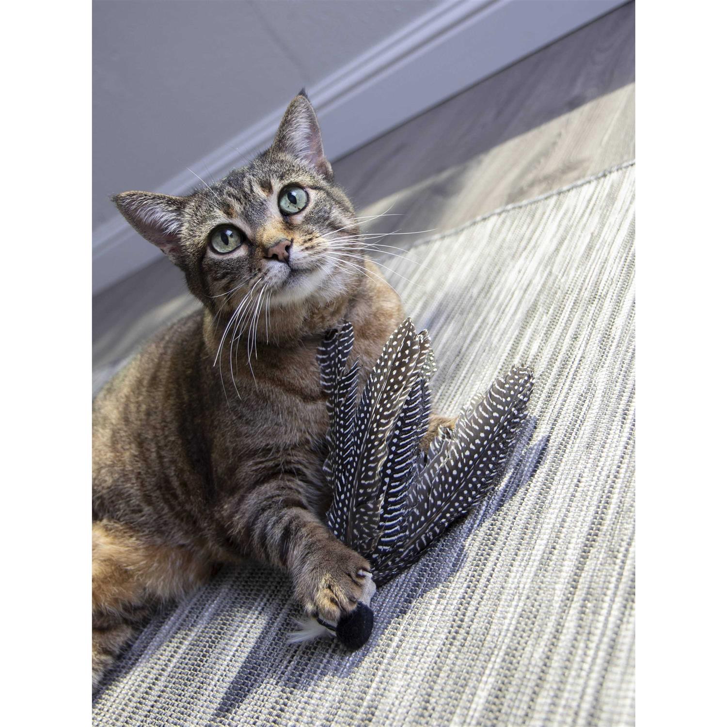 Petlinks HappyNip Zippy Zebra Catnip Cat Toy