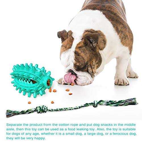 Hanamya Toothbrush Dog Chew Toy