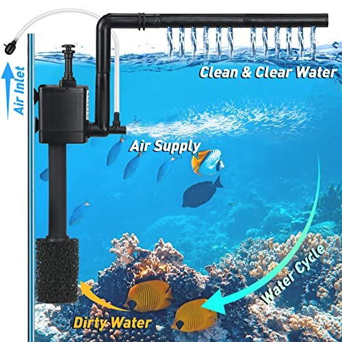 Small Fish Tank Aquarium Starter Kit