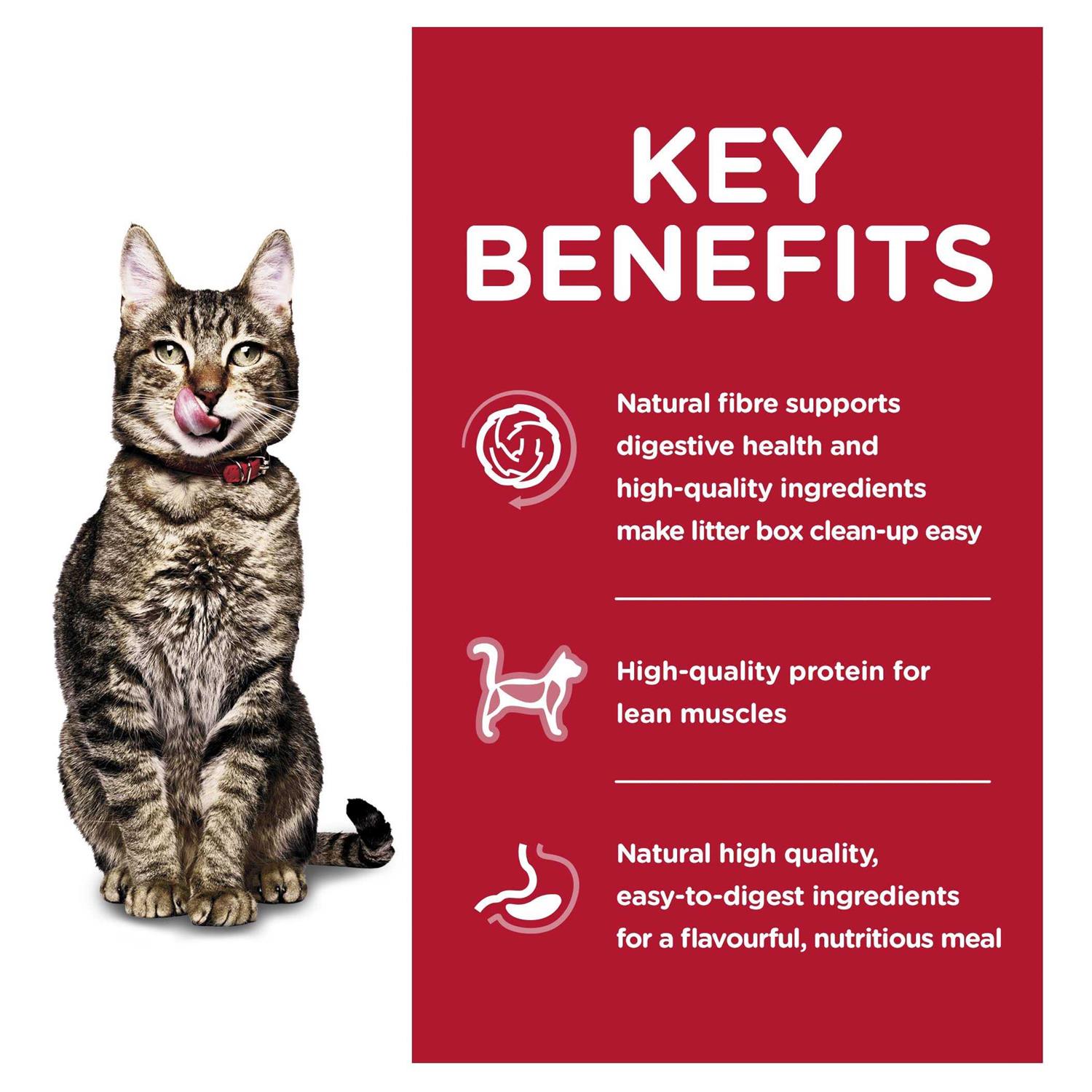 Hill’s Science Diet Adult 7+ Indoor Dry Cat Food